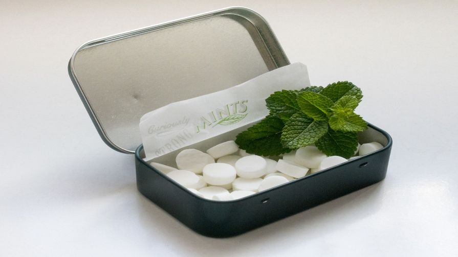 Why does eating a mint make my breath feel cold? Times Knowledge India