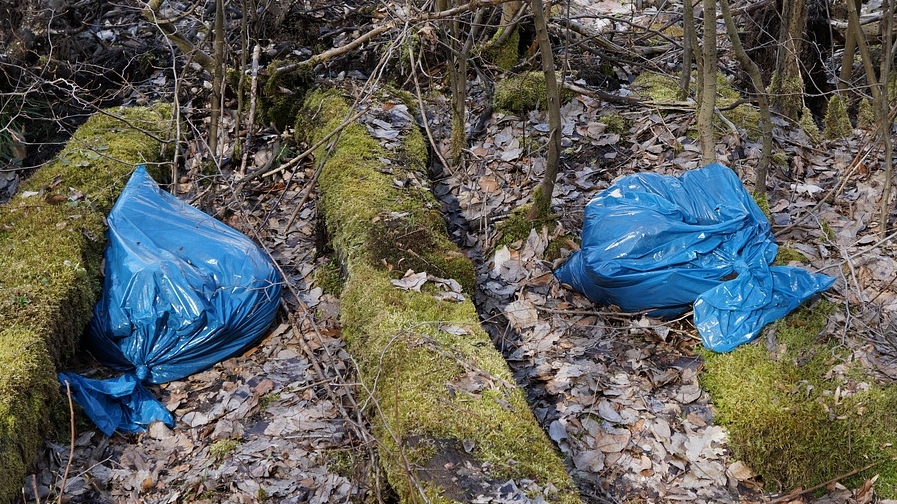 how-do-we-know-that-plastic-bags-take-500-years-to-decompose-times