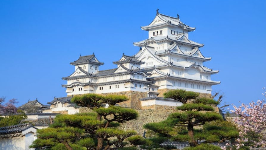 Marvel at Japan’s brilliant bird castle | Times Knowledge India