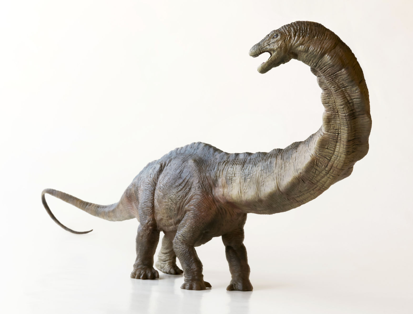 Why Were Dinosaurs So Big? | Times Knowledge India