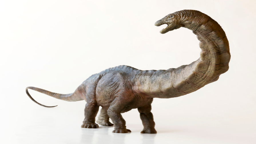 Why were dinosaurs so big times knowledge india