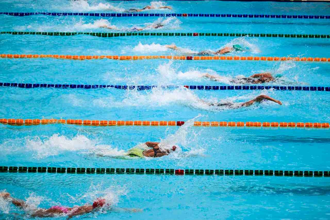 Why do humans like to swim? - The Psychology of Swimming