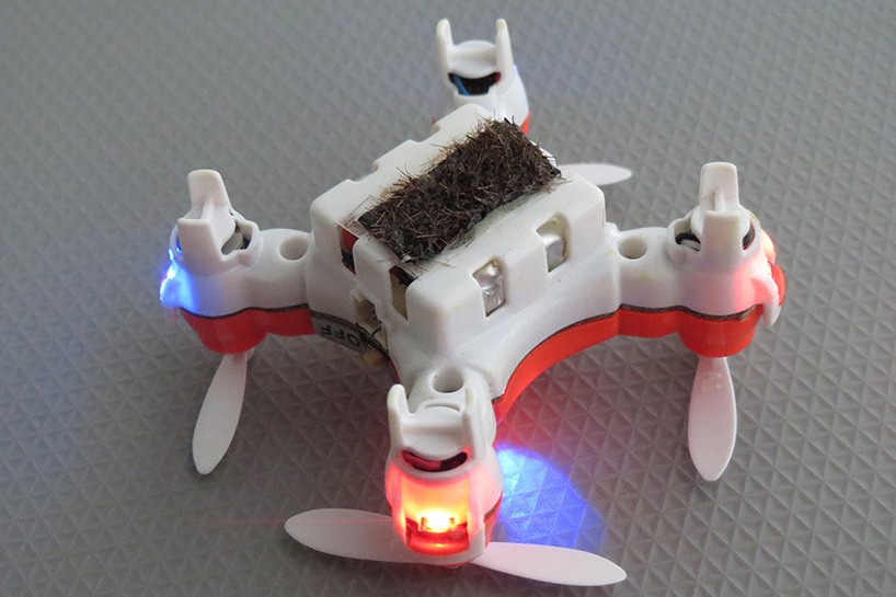 The Miniature drone bee