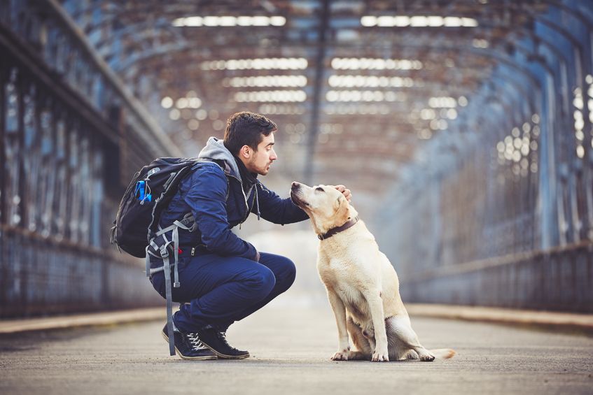 can dogs love humans