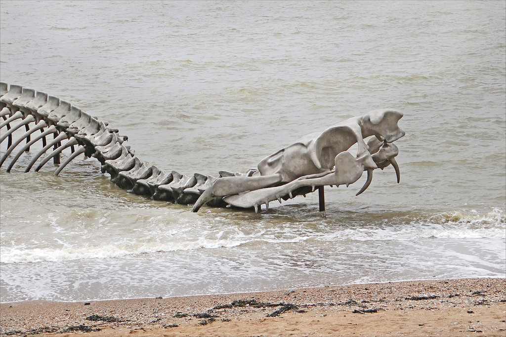 GIANT SNAKE SKELETON IN THE SEA OF FRANCE #Shorts 