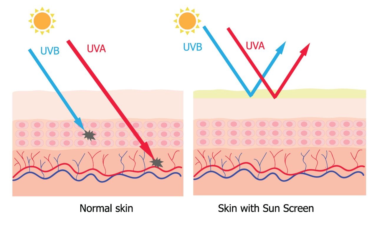 how does sunscreen protect you from the sun