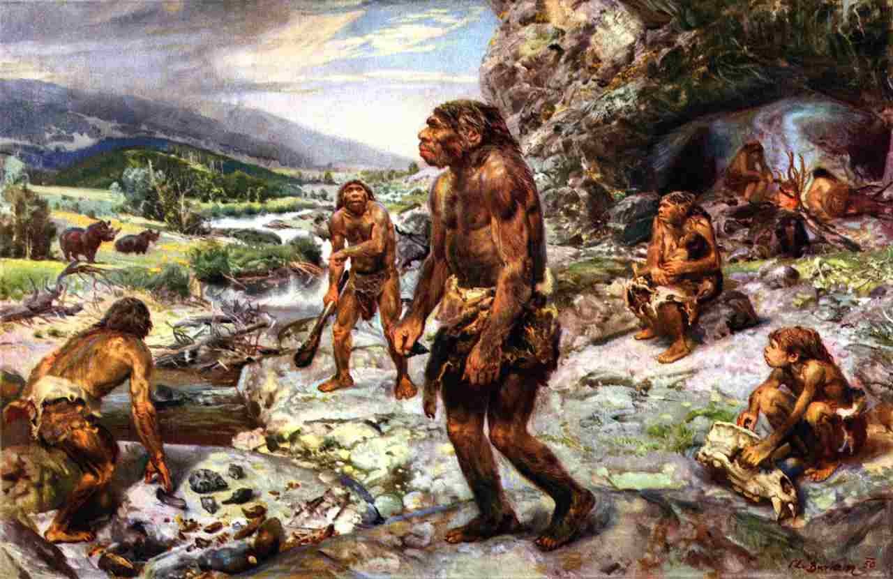 Did The Homo Sapiens Kill The Neanderthals Times Knowledge India