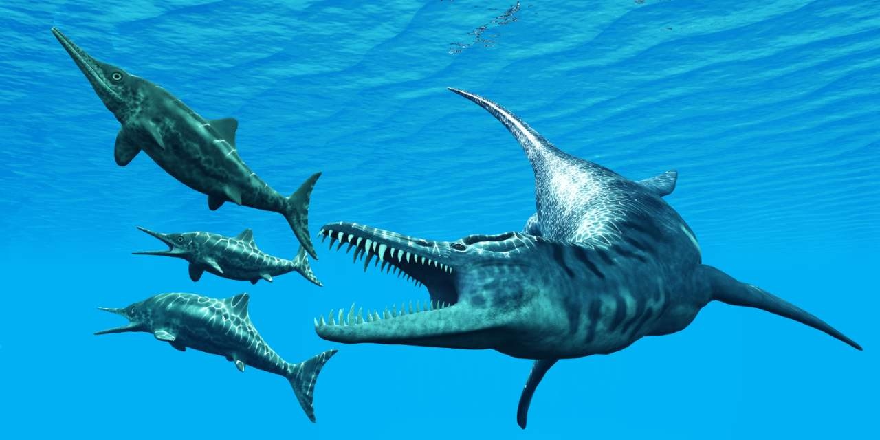 5 Prehistoric Sea Monsters That Will Frighten You | Times Knowledge India