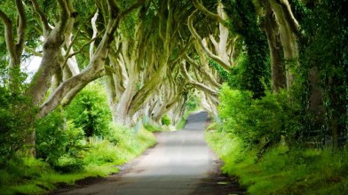 Filming is underway on the new Game of Thrones prequel series in Northern Ireland