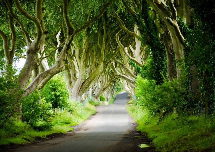 Filming is underway on the new Game of Thrones prequel series in Northern Ireland