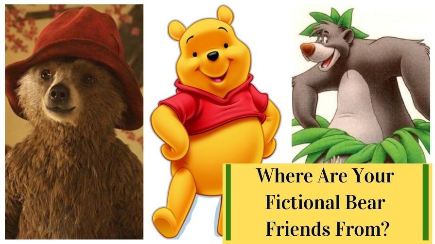 Where Are Your Fictional Bear Friends From? | Times Knowledge India